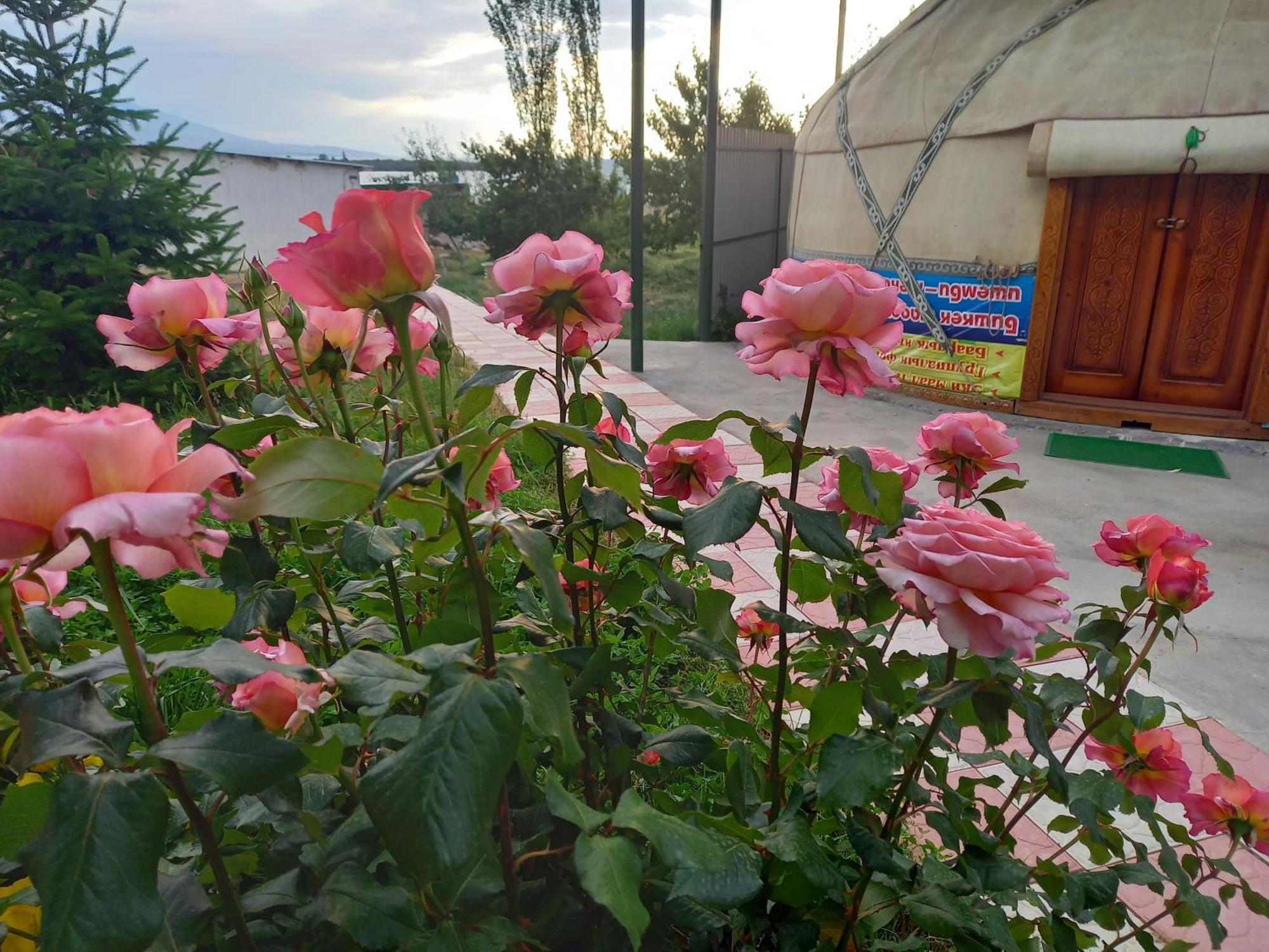 Barskoon Guest House Shirin מראה חיצוני תמונה