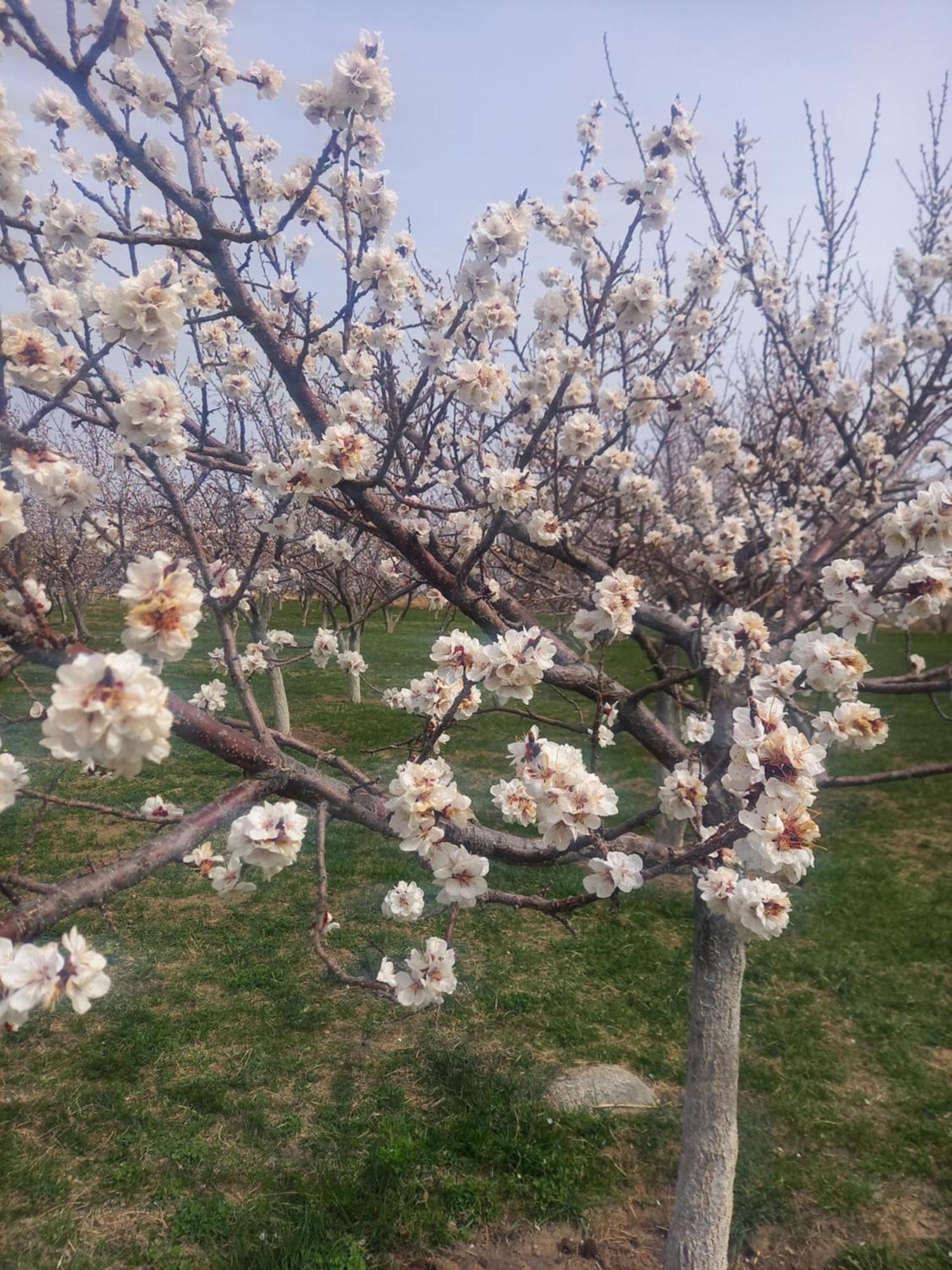 Barskoon Guest House Shirin מראה חיצוני תמונה
